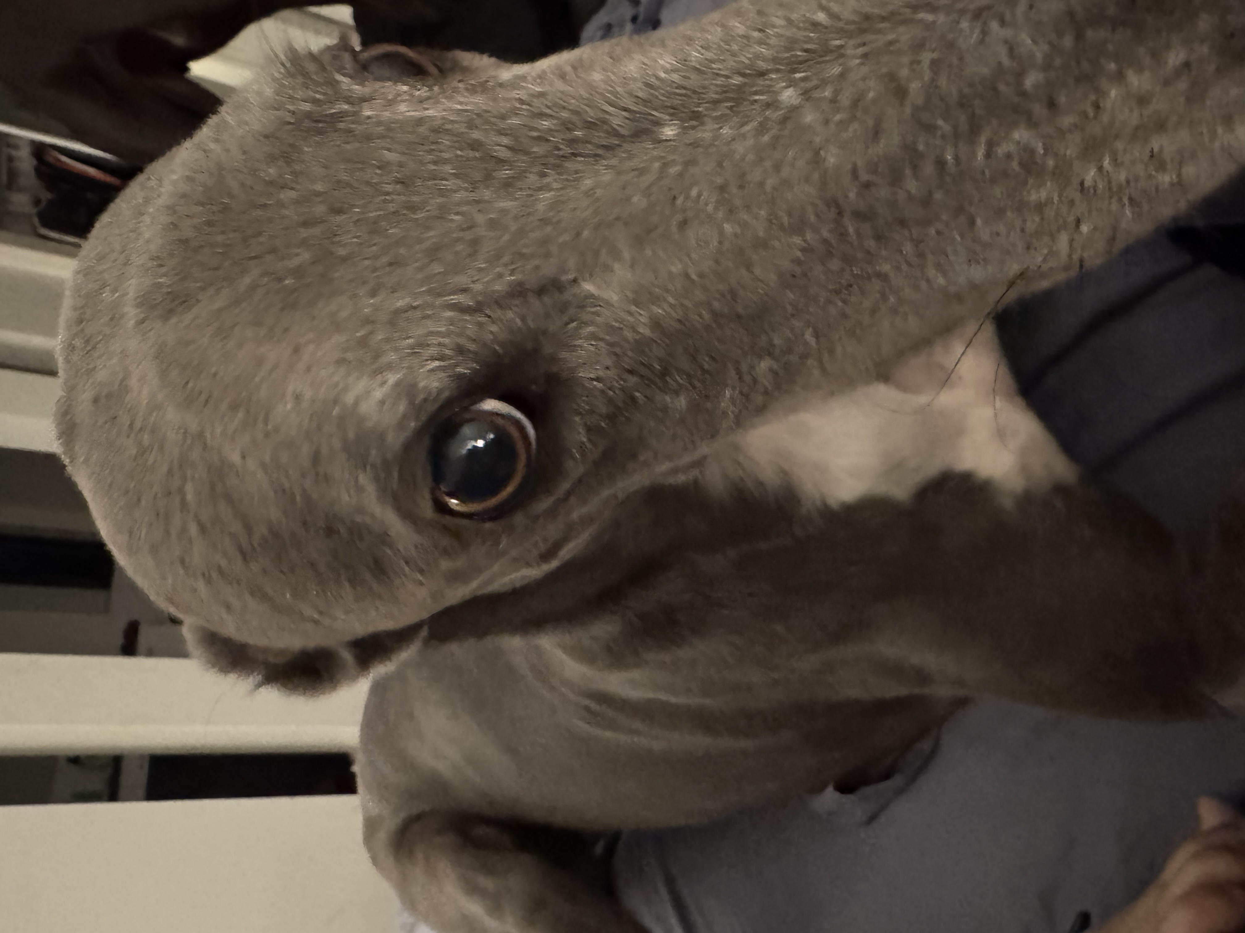 Nathan uploaded photo